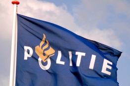 Tuinen beschadigd door beschonken bestuurder